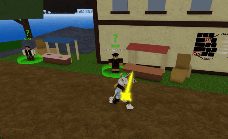 Membalas @owen607479532 Next showcase apalagi? #bloxfruits #roblox #li, fruit game