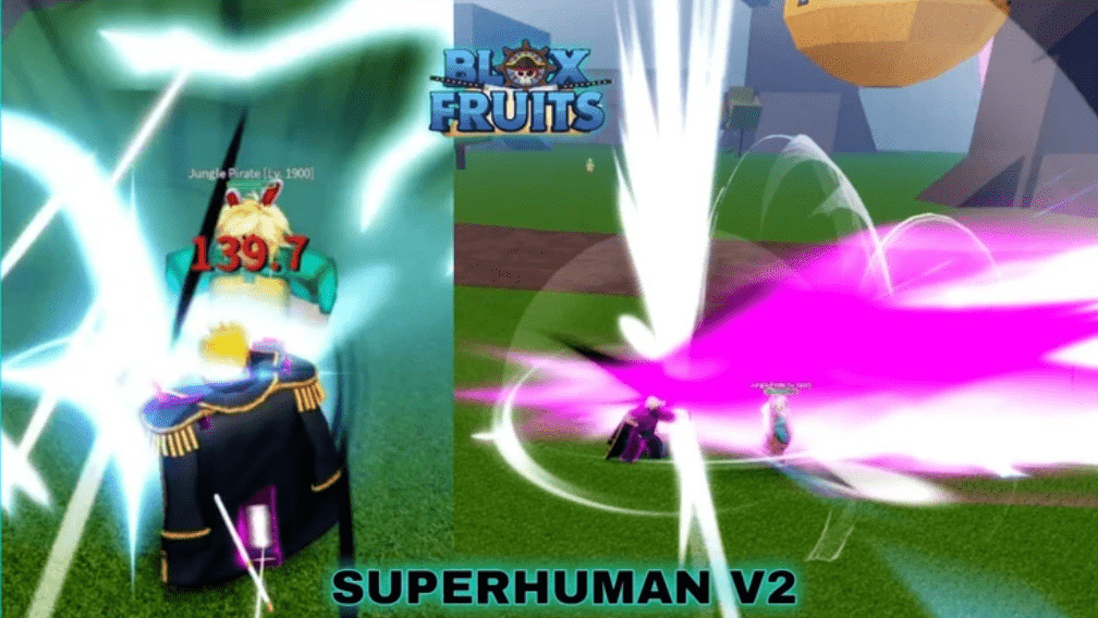 Blox Fruits Superhuman Guide